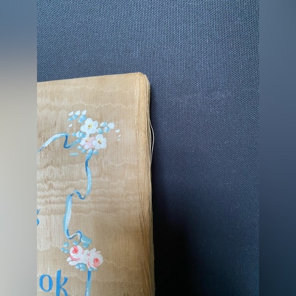 Baby’s Year Book Keepsake Journal Unused  Illustrated May Farini Antique Vintage - Picture 4 of 10